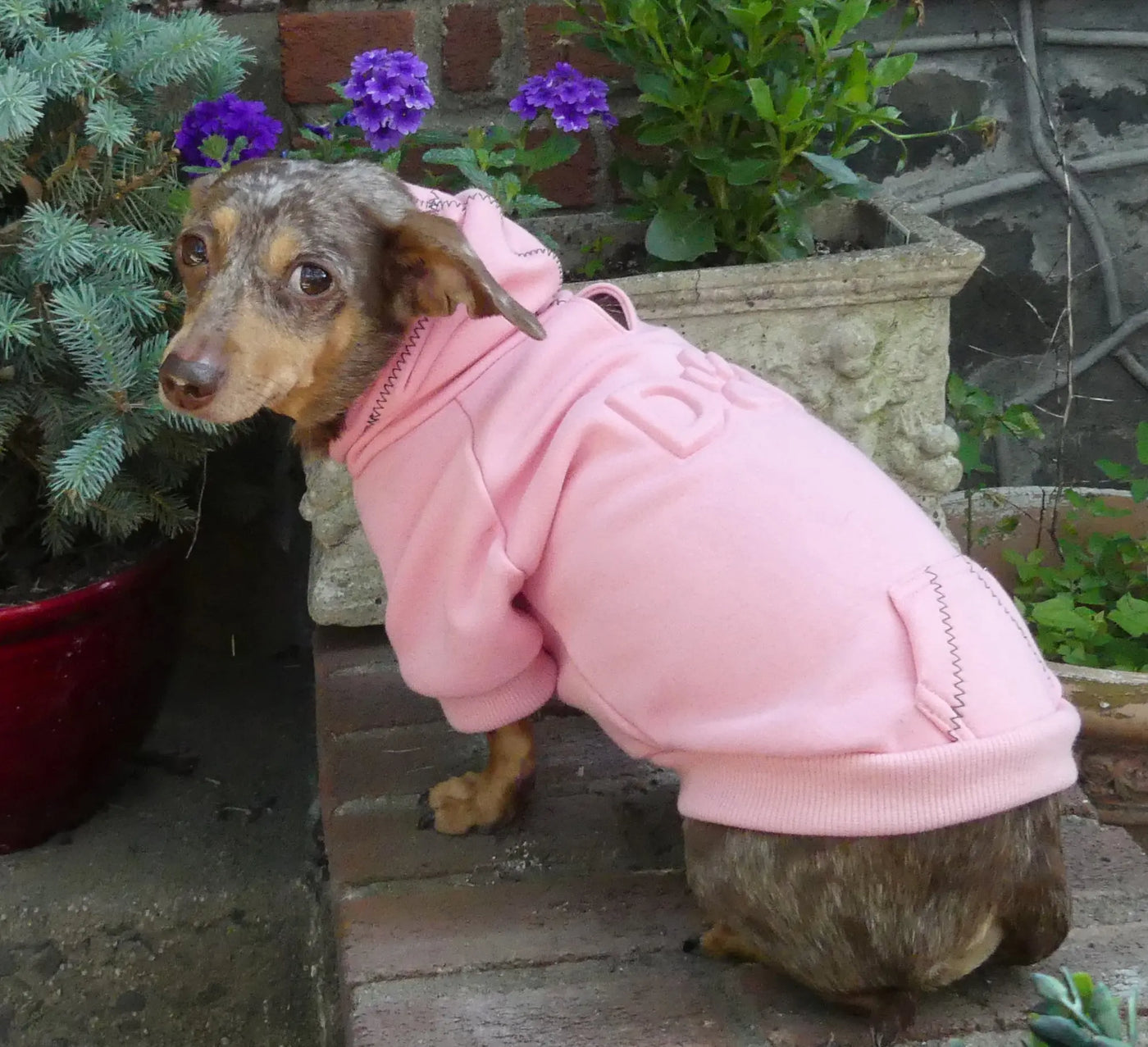 Dog Embossed Sweatshirt Pink on dogs