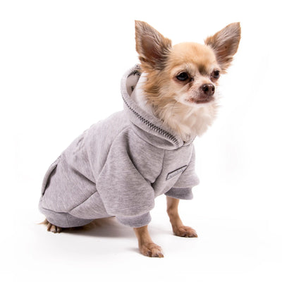 Dog Embossed Sweatshirt Grey on small dog