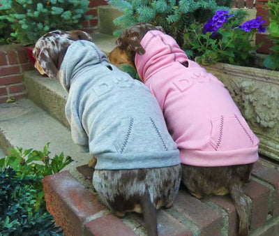Dog Embossed Sweatshirt Pink & Grey on dogs