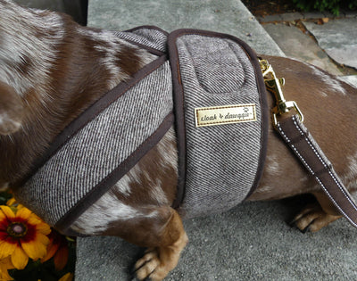 Twill Flannel Wrap Step N Go - Step In Dog Harness Warm No Buckle 6-25 LBS