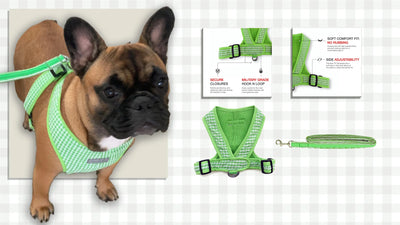 Designer Gingham Print Dog Harness and Leash Sets - cloakanddawggie-mycaninekids