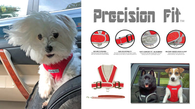 Precision Fit™ Dog Harness Up to 40 LBS - cloakanddawggie-mycaninekids