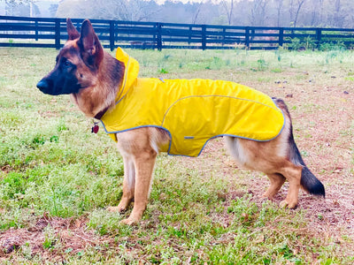 Raincoats For Dogs - cloakanddawggie-mycaninekids