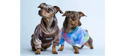 NEW Tie Dye Dog Sweaters n Hoodies - cloakanddawggie-mycaninekids