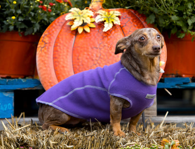 The Ultimate Warm Fleece Sweater for Dogs 3 LBS to 90 LBS