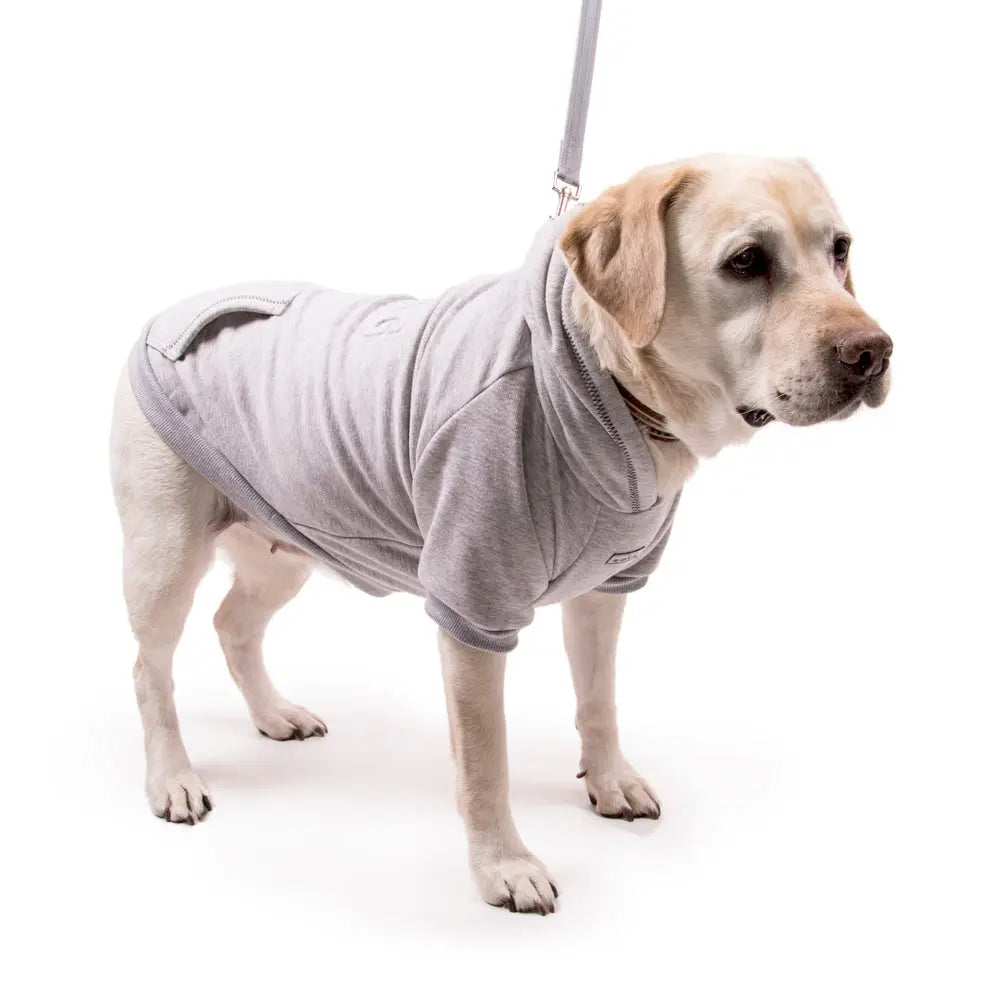 Dog Embossed Sweatshirt Grey on large dog