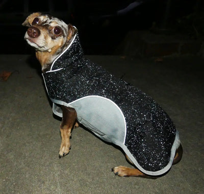 Precision Fit Glow Parka modeled on dachshund dogs