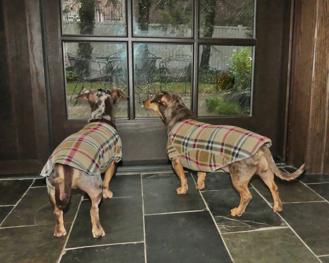 XXL Extra Extra Large Dog Harness, Coats, Clothes, Hoodie, Sweatshirt XXL Extra Extra Large Dog Harness, Coats, Clothes, Hoodie, Sweatshirt