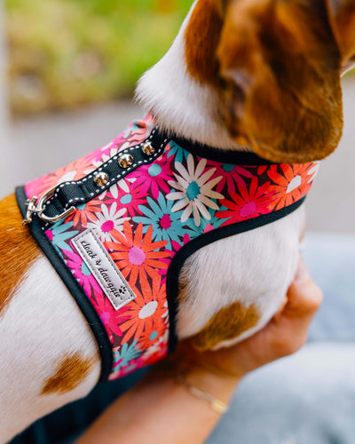 Daisy Floral  XXXS Teacup Dog Harness Vest 2 LBS to 8 LBS