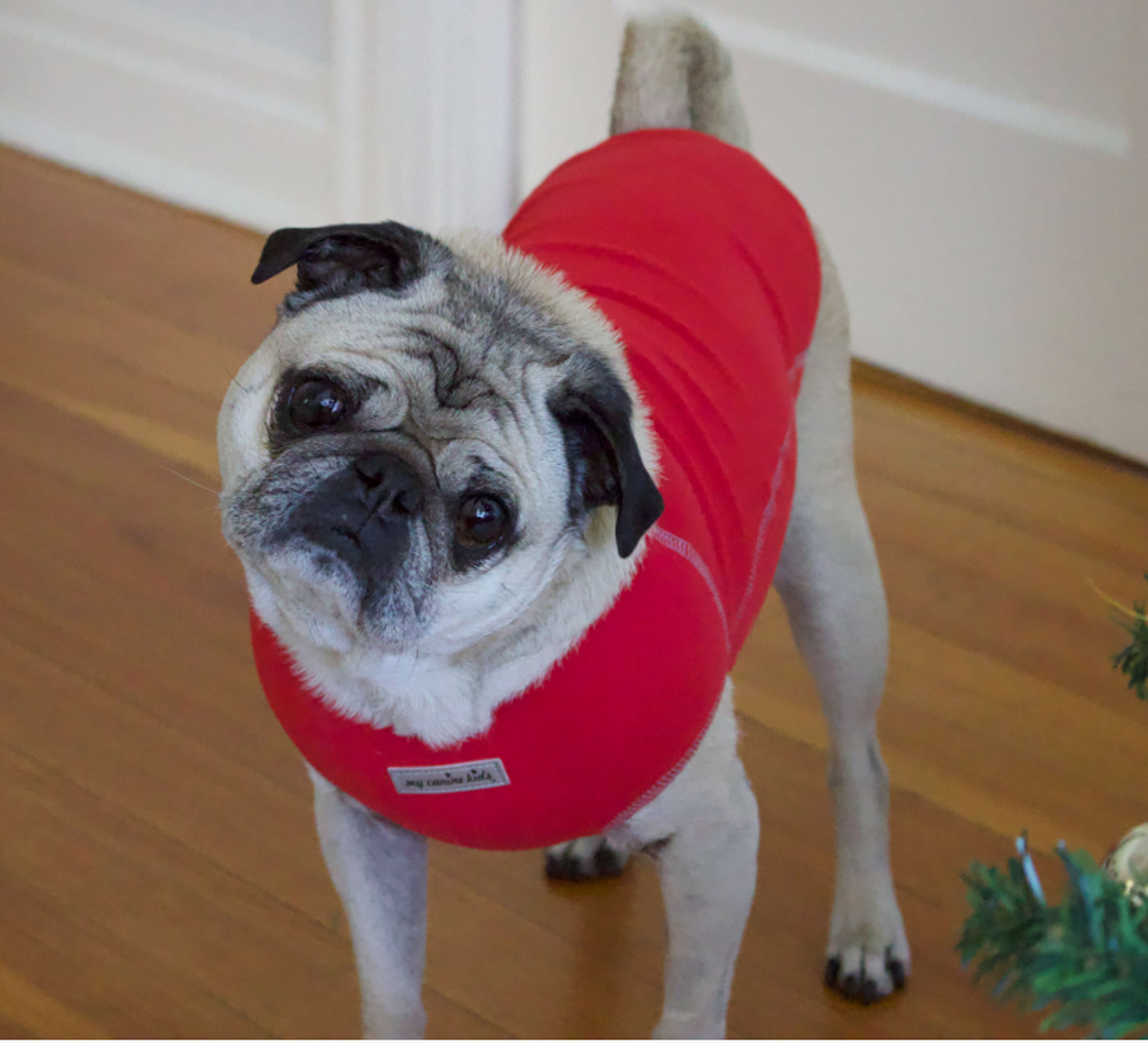 The Ultimate Warm Fleece Sweater for Dogs 3 LBS to 90 LBS