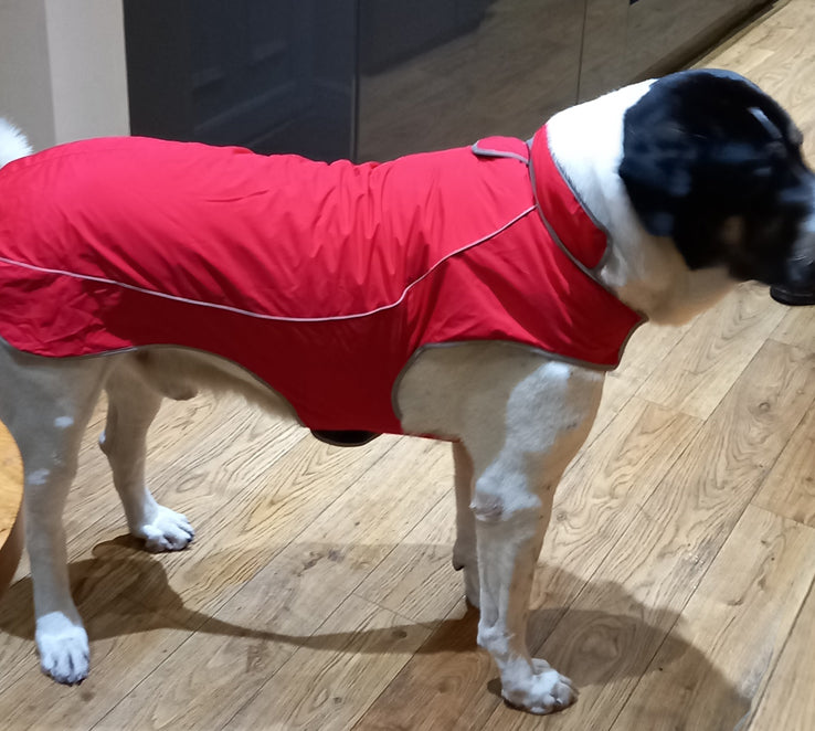 XXL Precision Fit™ Dog Parka Warm Waterproof Lined 70-170 LBS