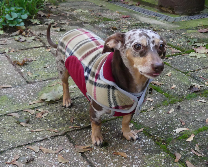Fleece Coat Chihuahua Coats Pets At Home Cloak Dawggie Precision