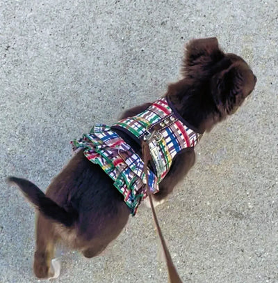 Plaid XXXS Teacup Dog Harness Vest 2 LBS to 8 LBS