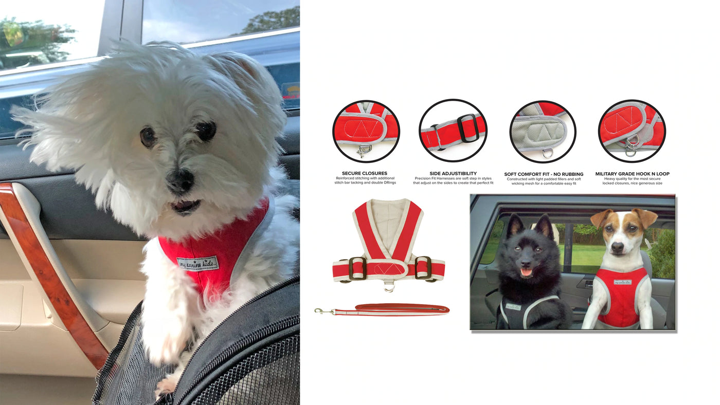 Cloak and dawggie shop harness