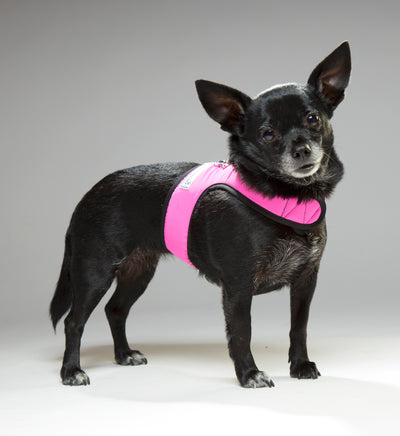 Solid Nylon  XXXS Teacup Dog Harness Vest 2 LBS to 8 LBS