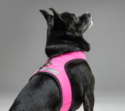 Solid Nylon  XXXS Teacup Dog Harness Vest 2 LBS to 8 LBS