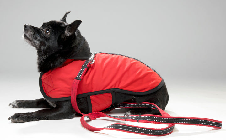 RoxieRedCoa3_720x.jpg?v=1734454668