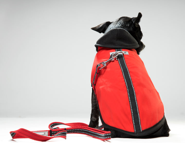 cloak & dawggie Designer Waterproof Supplex Nylon Teacup Warm Tiny