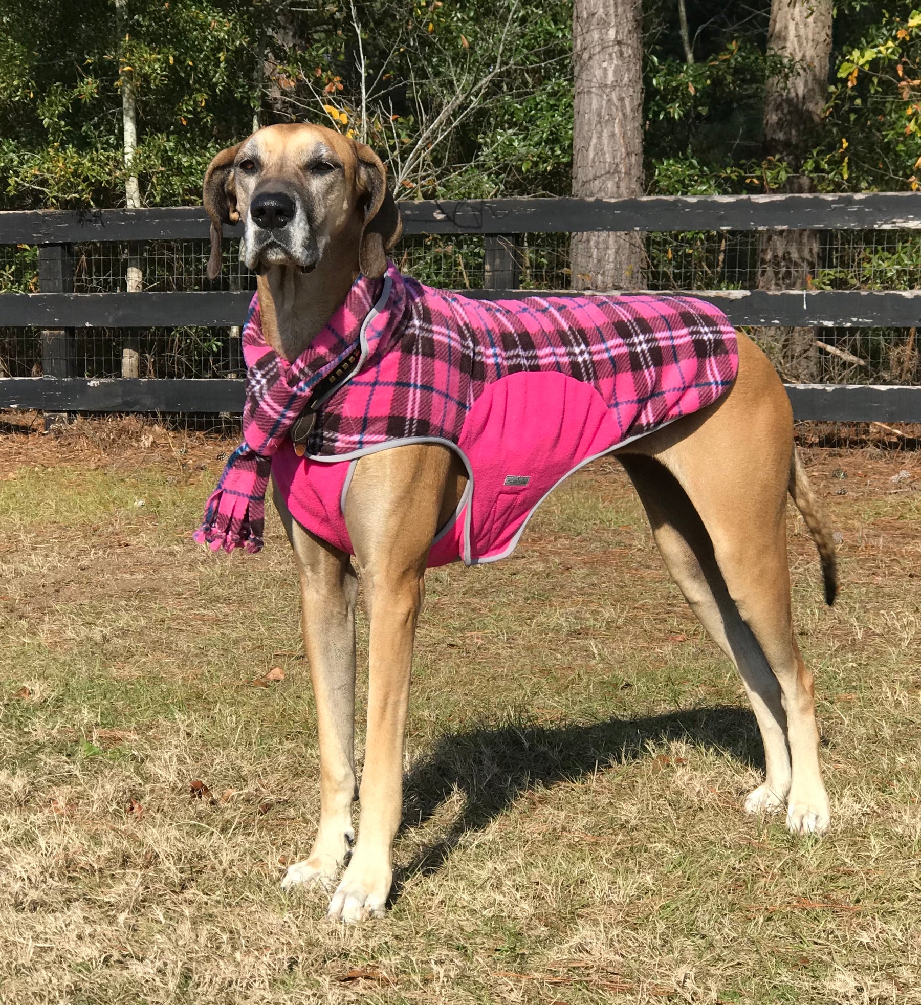 Pink & White Plaid Designer Dog Harness Coat and Matching Leash