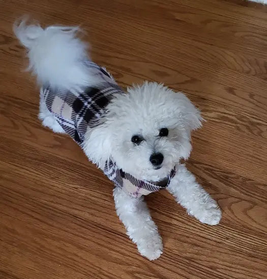 ****DISCONTINUED PATTERN *** The Ultimate Plaid Warm Fleece Dog Sweater 3 LBS to 120 LBS