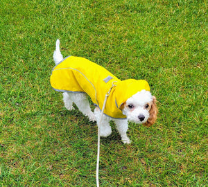 Cloak & Dawggie | My Canine Kids - Shop Dog Harnesses and More