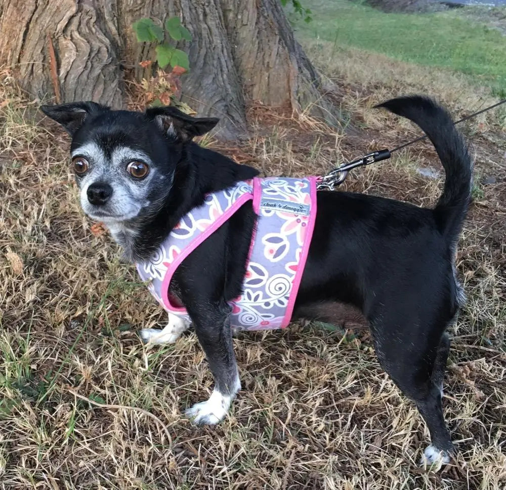 Cloak & Dawggie Step n Go Dog Harness Prints Small Dog Step In XS 8-12 LBS / 15-16