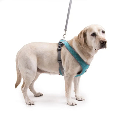 My Canine Kids | Cloak and Dawggie Dog Harness Large Dogs over 50 lbs Reflective Mesh