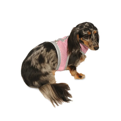 My Canine Kids | Cloak and Dawggie  Atheltic Mesh Dog Vest Harness Small Dogs, Tiny Teacup