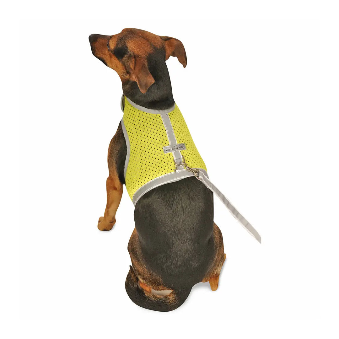 My Canine Kids Athletic Reflective Mesh Vest Harness T3- Up to lbs Chest 12-15" Turquoise