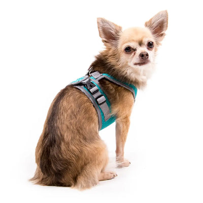 My Canine Kids | Cloak and Dawggie  Step Easy Reflective Mesh Dog Harness Vest Nylon Tiny dog Teacup