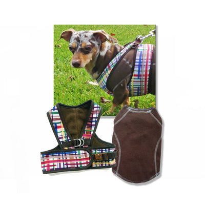 plaid harness and brown sweater on a dog