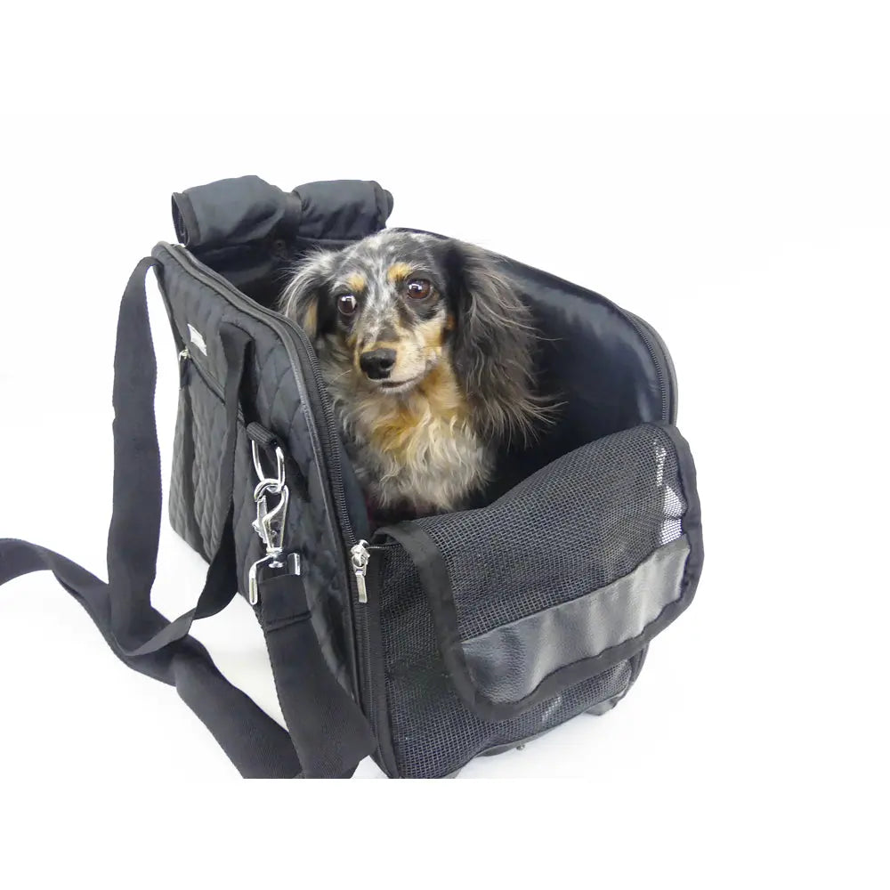 cloak and dwggie carrier tote for teacup small dogs in black 