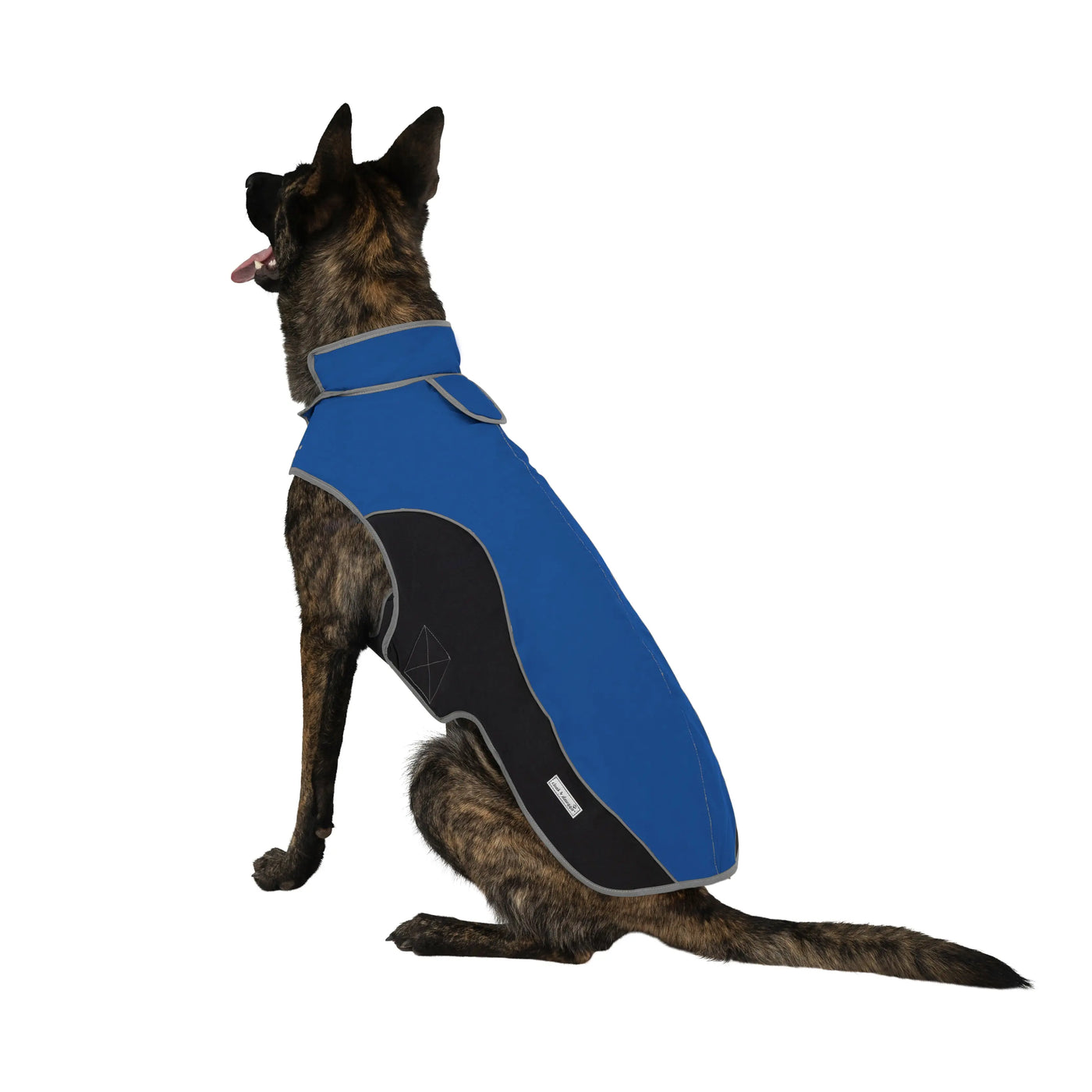 precision fit dog parka bi color royal/black - XL Dog Sitting