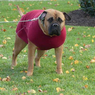 XXL Large Dog Sweater Burgundy Red My Canine Kids Cloak and Dawggie