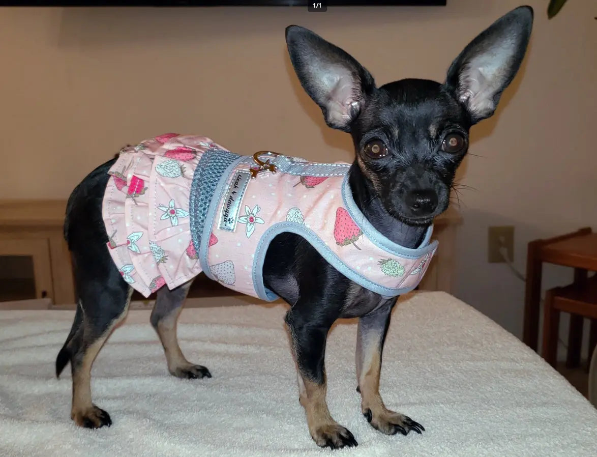Teacup Vest Harness Dress for Dogs Pink Strawberry Print 2 LBS to 8 LBS