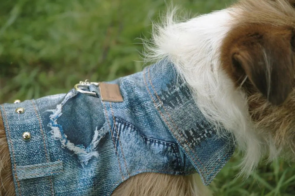 Cloak & Dawggie Denim Patch Dog Harness Vest