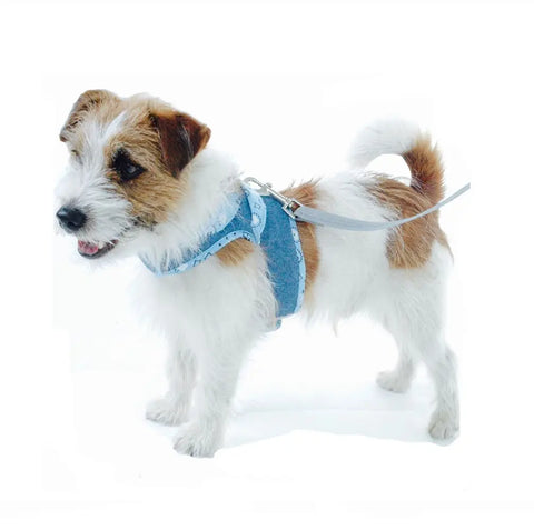cloak dawggie Denim Dog Harness Blue Bandana Scarf Teacup