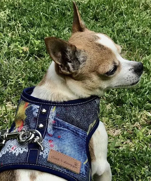 Best For Small Dogs Cloak Dawggie Denim Lace Vest X-Small For