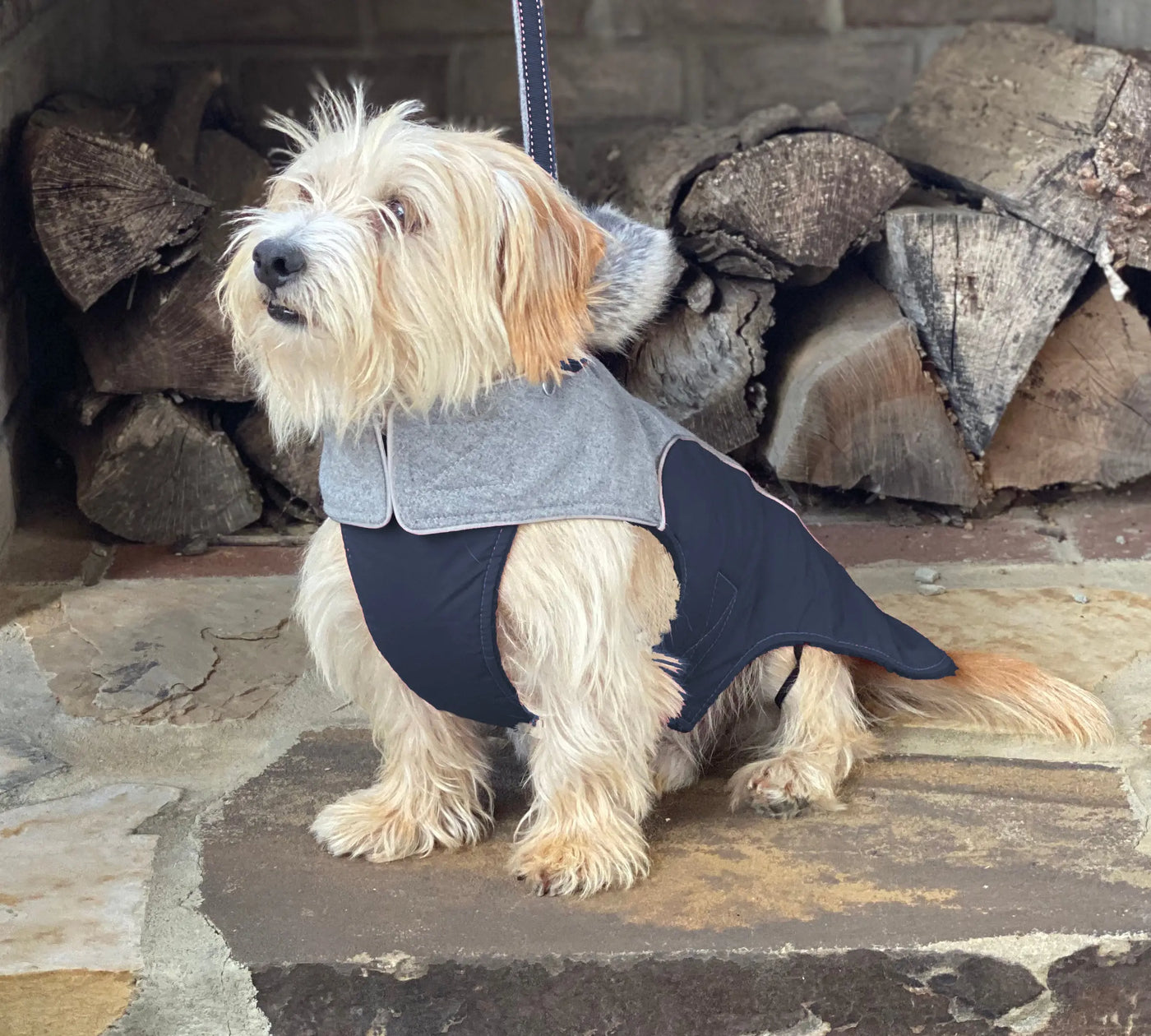 Flannel Apre` Ski Parka Luxury Dog Coat Gray Flannel Navy