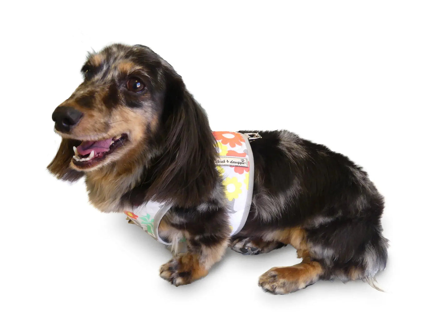 Step n Go Harness Floral Print Harness on Doxie