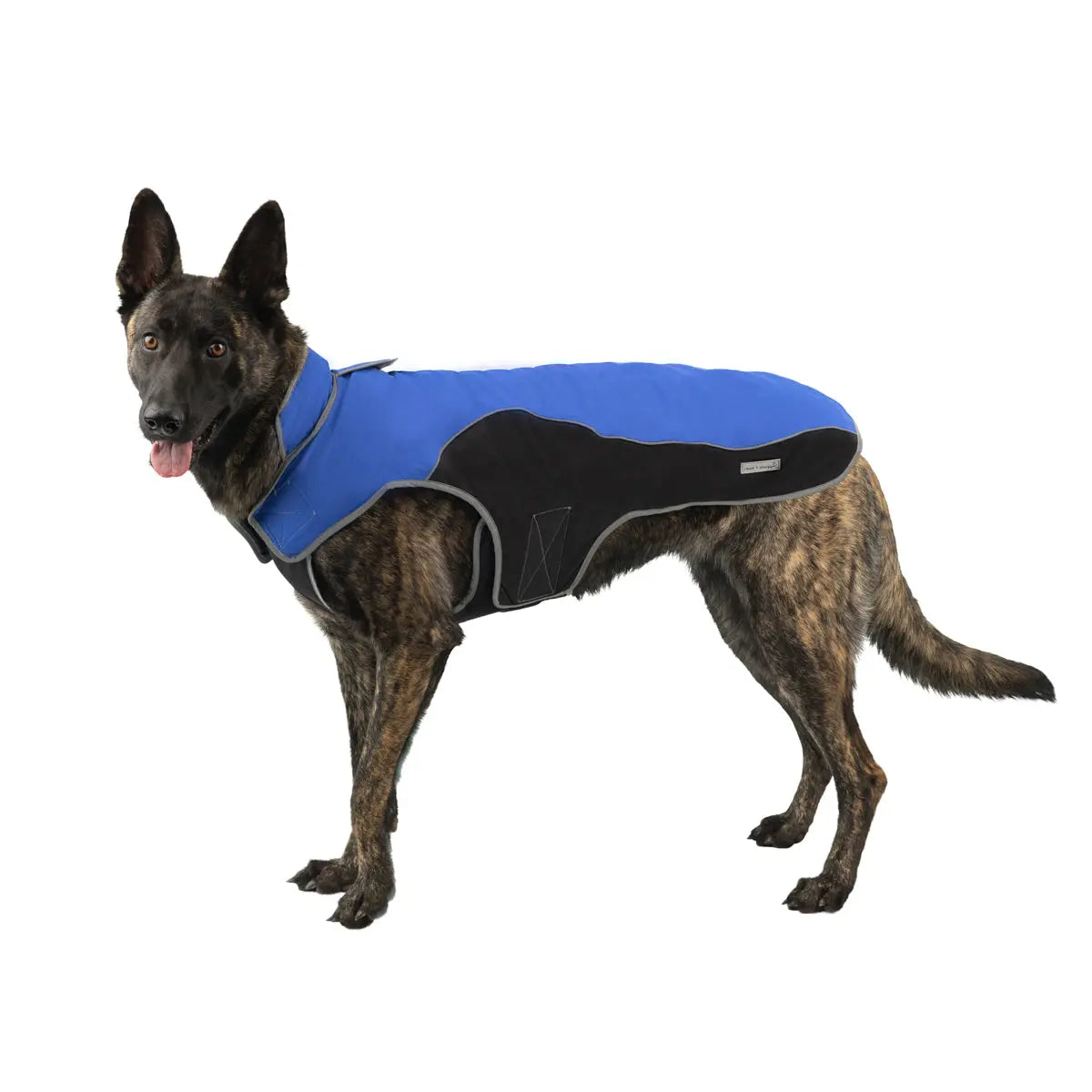 precision fit dog parka bi color royal/black - XL Dog