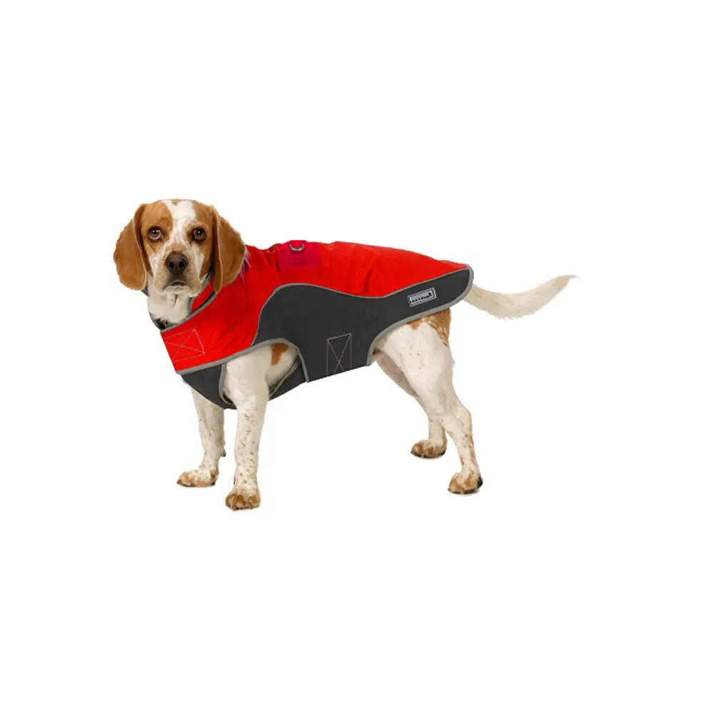 Precision Fit Polar Parka in Red and Black on Large Dog