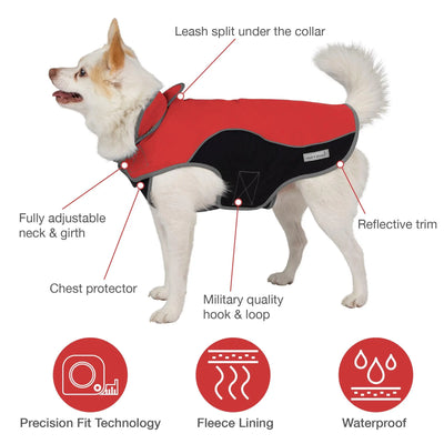 Dog wearing coat with product features high lighted