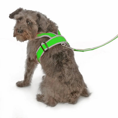 My Canine Kids | Cloak and Dawggie  - Precision Fit Dog Harness, Vest