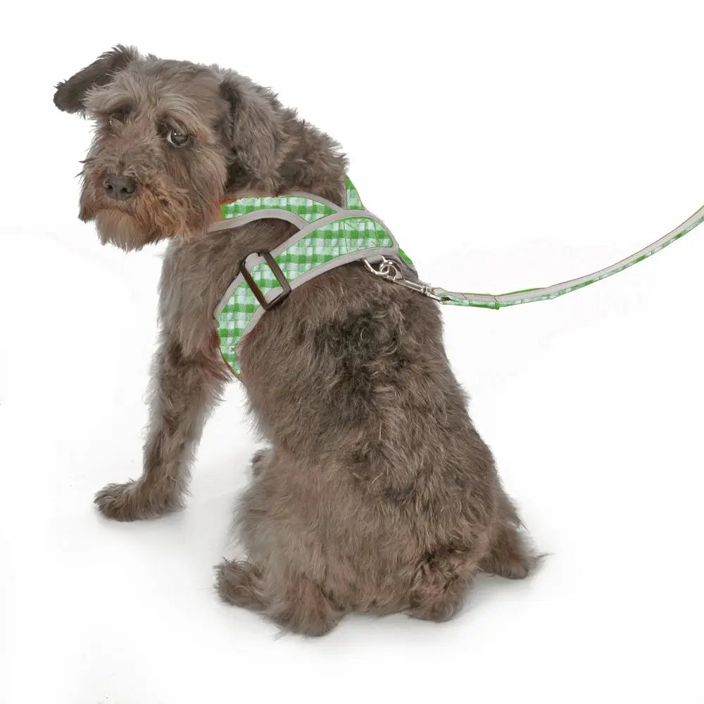 My Canine Kids | Cloak and Dawggie  Precision Fit Print Harness for Small Dogs Puppies