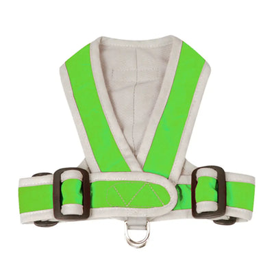 My Canine Kids Precision Fit Harness on Dog in Green