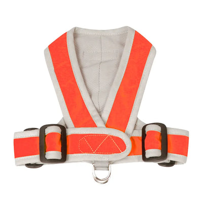My Canine Kids Precision Fit Harness on Dog in Orange
