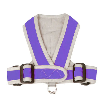 My Canine Kids Precision Fit Harness on Dog in Purple