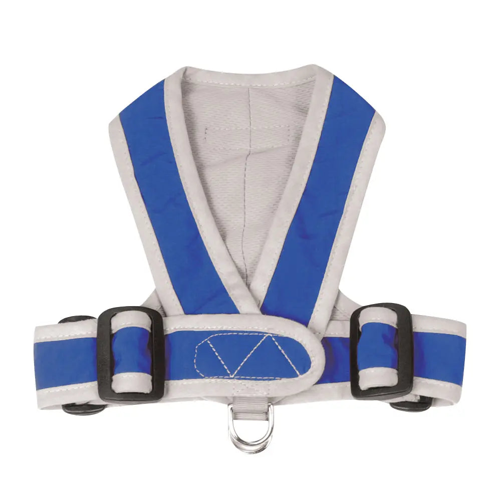 My Canine Kids Precision Fit Harness on Dog in Blue