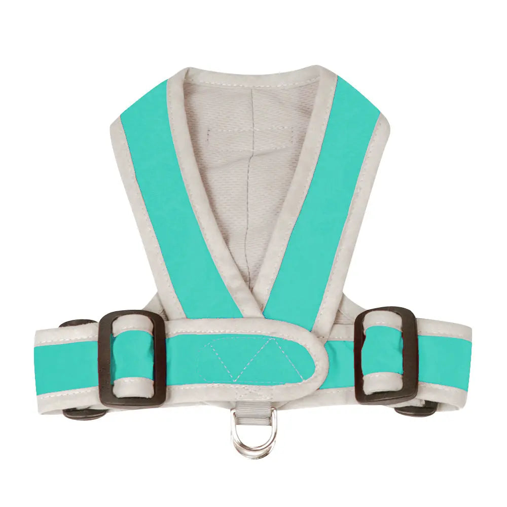 My Canine Kids Precision Fit Harness on Dog in BTurquoise